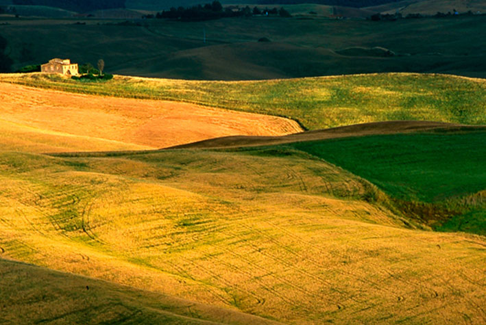 colline-senesi-1