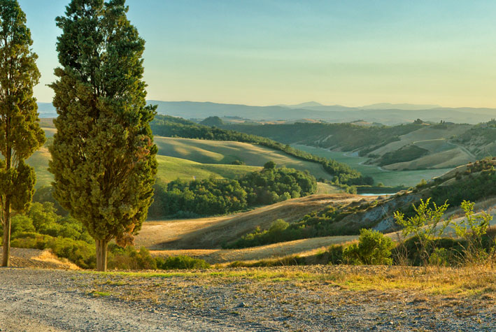 colline-senesi-2